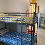 Olive Tree Hostal