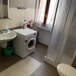 Olive Tree Hostal