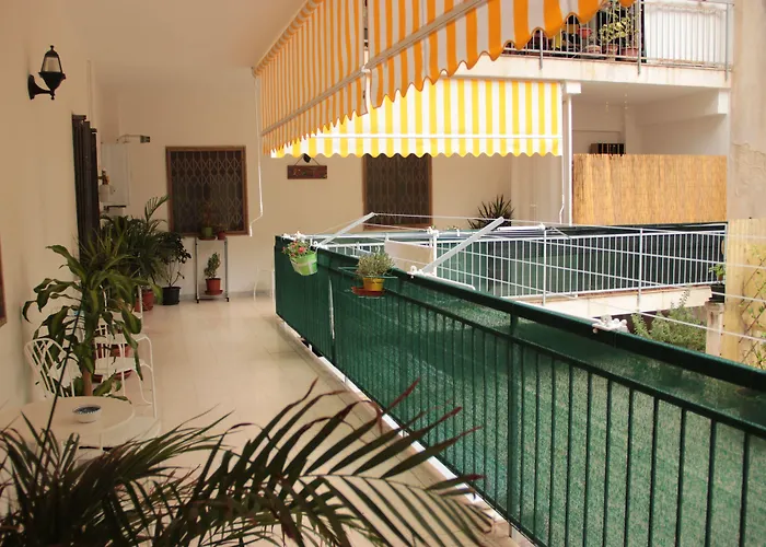 Olive Tree ホステル