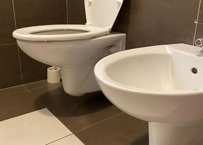 Olive Tree * バーリ