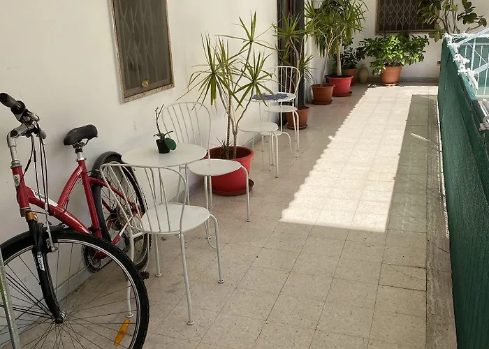 Olive Tree バーリ