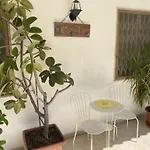 Olive Tree * 바리