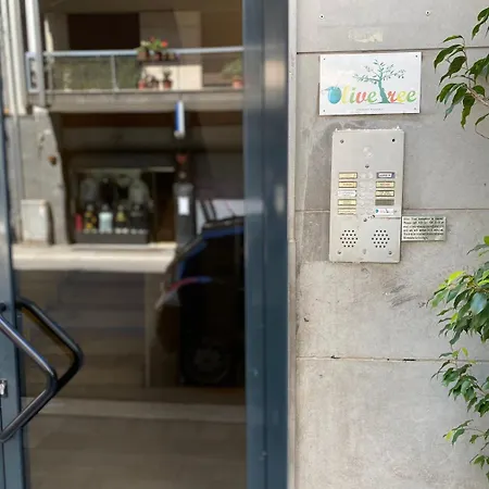 Olive Tree Vandrarhem *