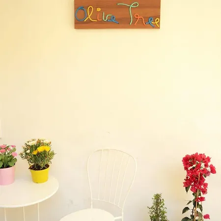 Hostel Olive Tree *