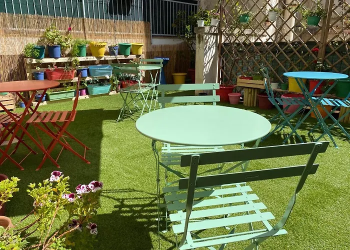 Olive Tree * باري