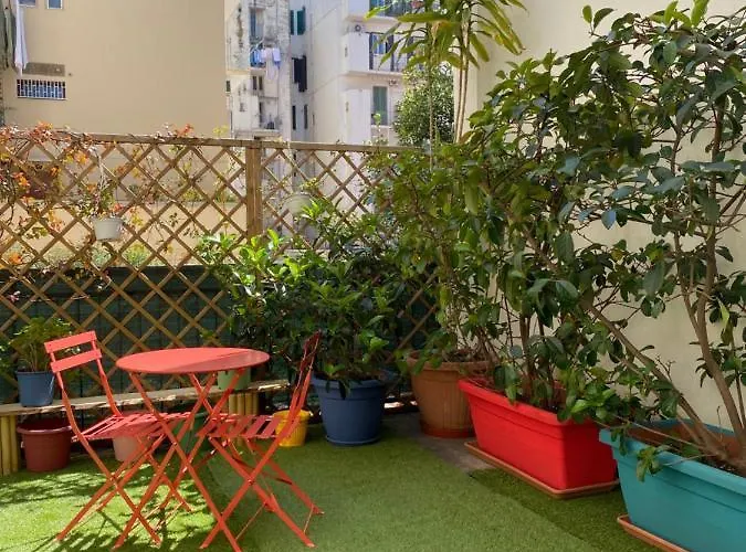 بيت شباب Olive Tree