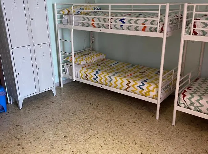 Olive Tree بيت شباب *