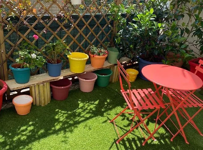 Olive Tree بيت شباب *