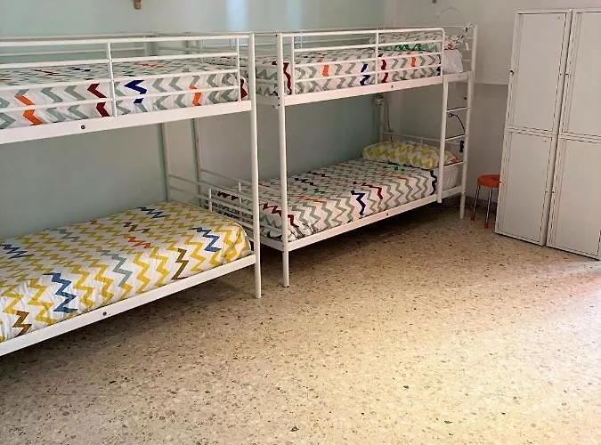 بيت شباب Olive Tree باري