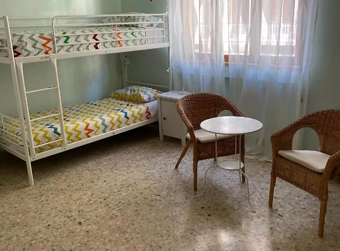 Olive Tree بيت شباب