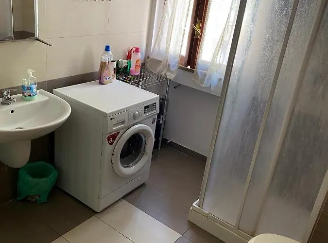 Olive Tree بيت شباب