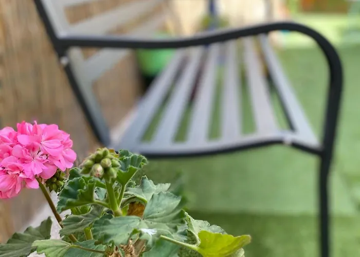 Olive Tree بيت شباب *