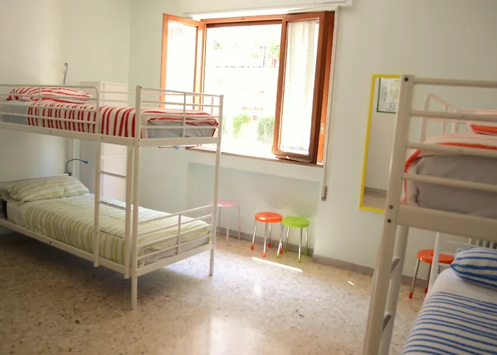 Olive Tree بيت شباب باري