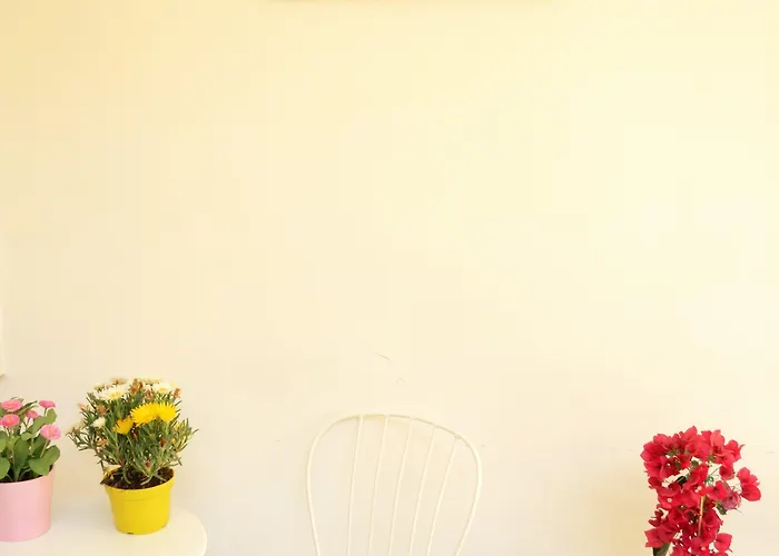 Olive Tree * باري