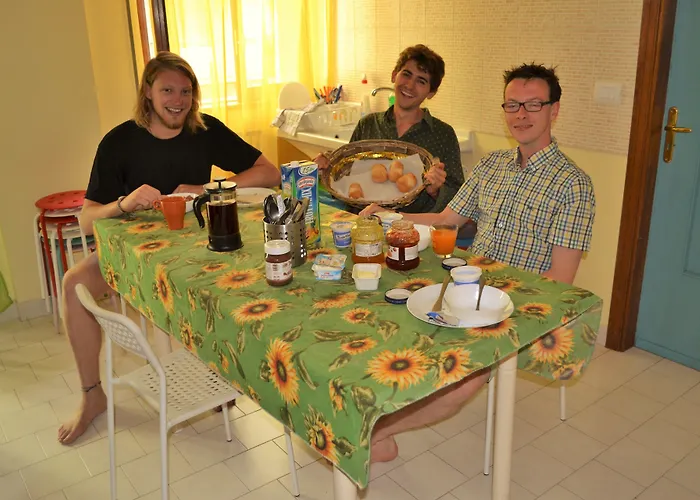 Olive Tree بيت شباب باري