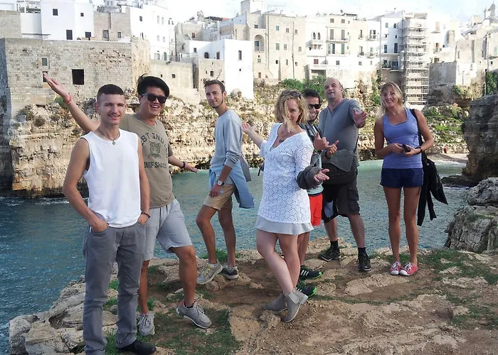 بيت شباب Olive Tree