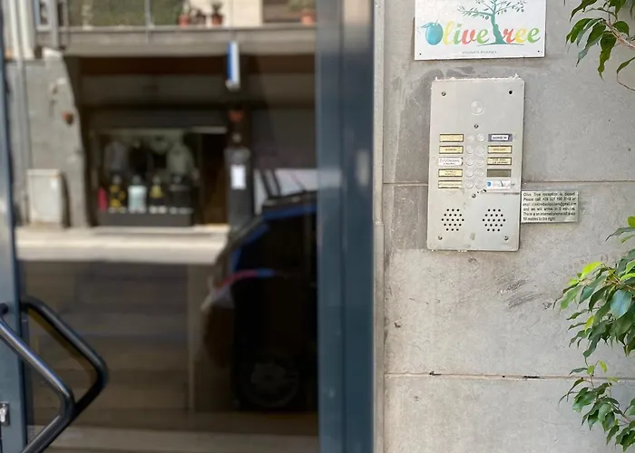 Olive Tree بيت شباب *