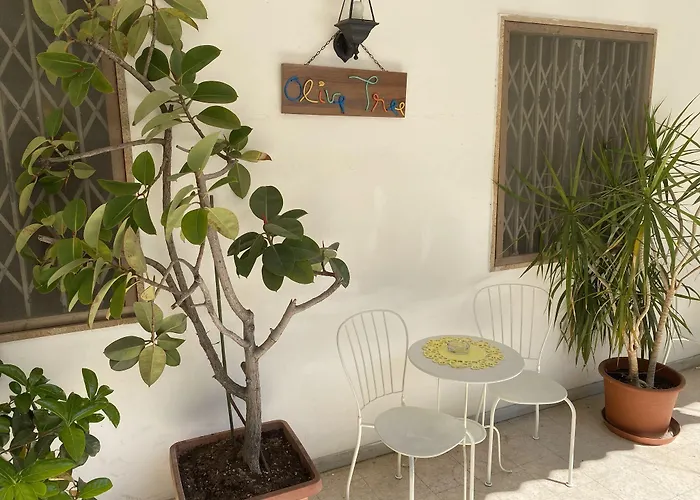 Olive Tree * باري